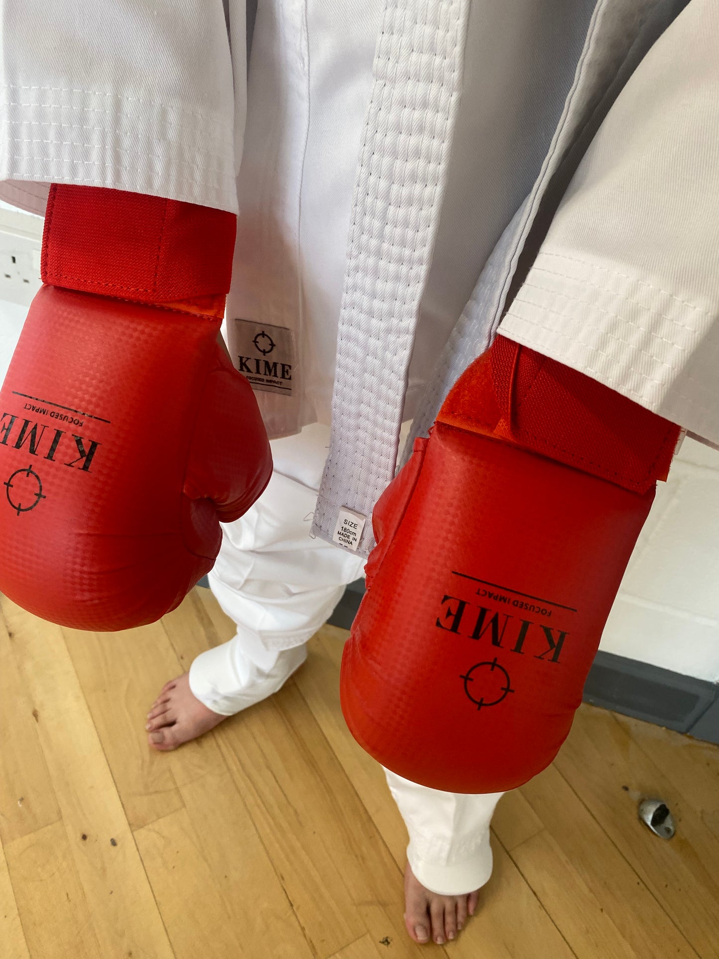 WKF Approved Karate Sparring Gloves Martial Arts